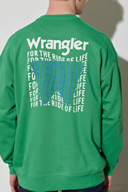 Regular Fit Normal Kesim %100 Pamuk Bisiklet Yaka Yeşil Sweatshirt - Leprechaun Green-W676I4G30 (görsel 4)