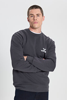 Regular Fit Normal Kesim Bisiklet Yaka %100 Pamuk Antrasit Sweatshirt - Faded Black-W6895935355 (görsel 2)