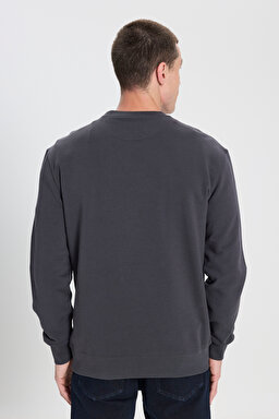 Regular Fit Normal Kesim Bisiklet Yaka %100 Pamuk Antrasit Sweatshirt - Faded Black-W6895935355 (görsel 6)