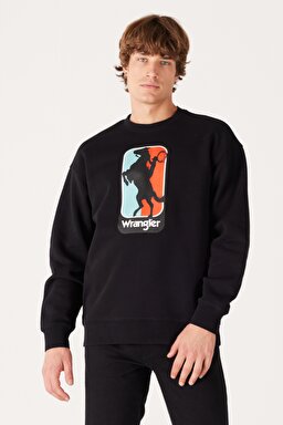 Regular Fit Normal Kesim %100 Pamuk Bisiklet Yaka İçi Polarlı Siyah Sweatshirt - Faded Black-W6L7IYXV6