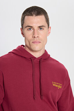 Relaxed Fit Geniş Kesim Kapüşonlu %100 Pamuk Bordo Sweatshirt - Wine-W6M95935810 (görsel 5)