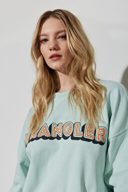 Regular Fit Normal Kesim %100 Pamuk Bisiklet Yaka Mint Yeşili Sweatshirt - Surf Spray-W6R4HAX6U (görsel 2)
