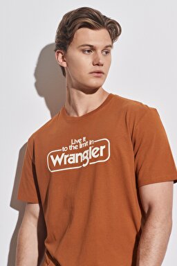 Regular Fit Normal Kesim %100 Pamuk Bisiklet Yaka Karamel Tişört - Nutmeg Brown-W70SD3H02 (görsel 3)
