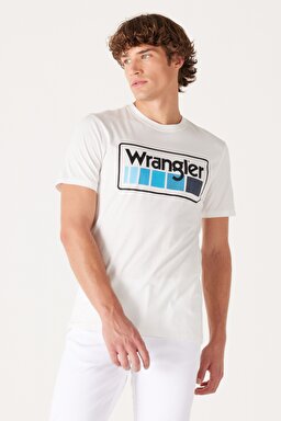 Regular Fit Normal Kesim %100 Pamuk Bisiklet Yaka Kırık Beyaz Tişört - Worn White-W750D3W02 (görsel 2)
