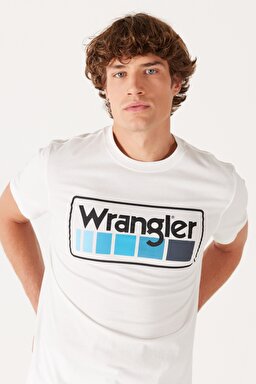 Regular Fit Normal Kesim %100 Pamuk Bisiklet Yaka Kırık Beyaz Tişört - Worn White-W750D3W02 (görsel 5)