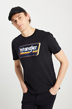 Regular Fit Normal Kesim Bisiklet Yaka %100 Pamuk Siyah Tişört - Black-W753EE001 (görsel 2)