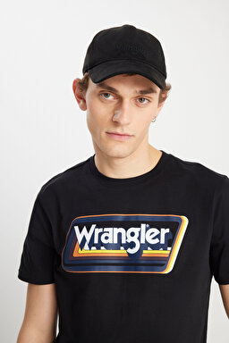 Regular Fit Normal Kesim Bisiklet Yaka %100 Pamuk Siyah Tişört - Black-W753EE001 (görsel 4)