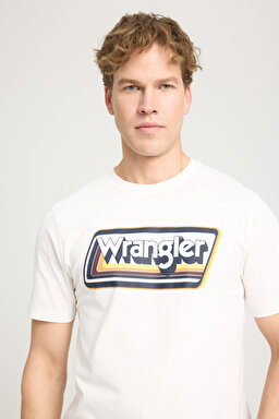 Regular Fit Normal Kesim Bisiklet Yaka %100 Pamuk Ekru Tişört - Worn in White-W753EEW04 (görsel 4)