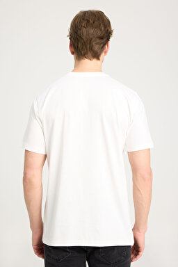 Regular Fit Normal Kesim Bisiklet Yaka %100 Pamuk Ekru Tişört - Worn in White-W753EEW04 (görsel 5)