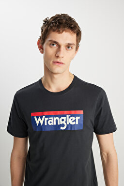 Regular Fit Normal Kesim %100 Pamuk Bisiklet Yaka Tişört - Faded Black-W7H4D3XV6 (görsel 4)
