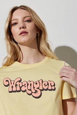 Regular Fit Normal Kesim %100 Pamuk Bisiklet Yaka Tişört - Pale Banana-W7N4D3Y37 (görsel 4)